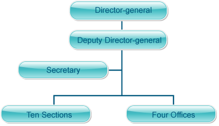 Organization